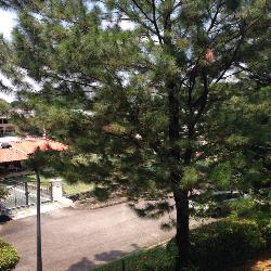 Parc Stevens (D10), Condominium #47328742